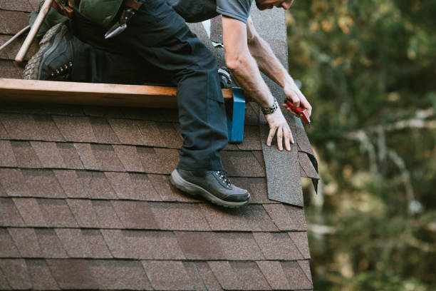Best Local Roofing Companies  in Hahira, GA